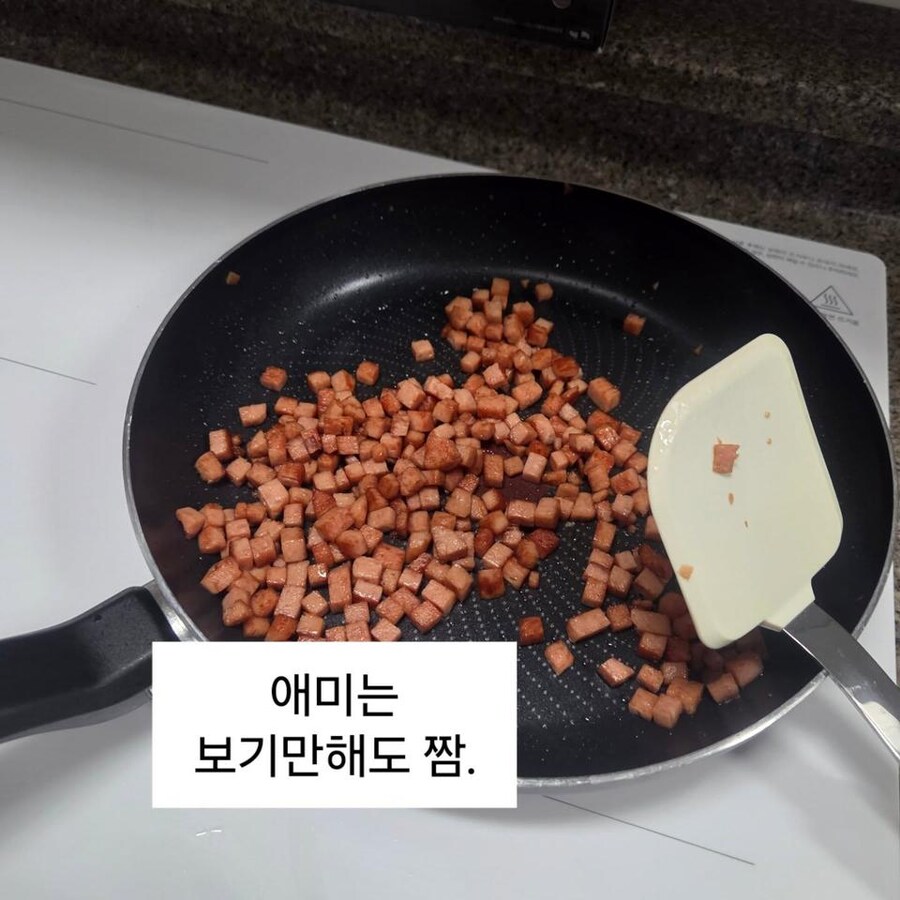 급식 파업에 도시락 싸가는 딸내미.jpg_5.jpg