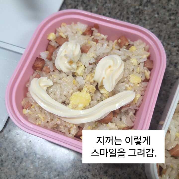 급식 파업에 도시락 싸가는 딸내미.jpg_13.jpg