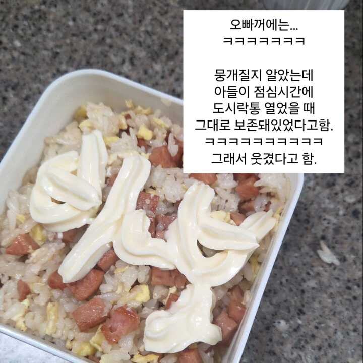 급식 파업에 도시락 싸가는 딸내미.jpg_14.jpg