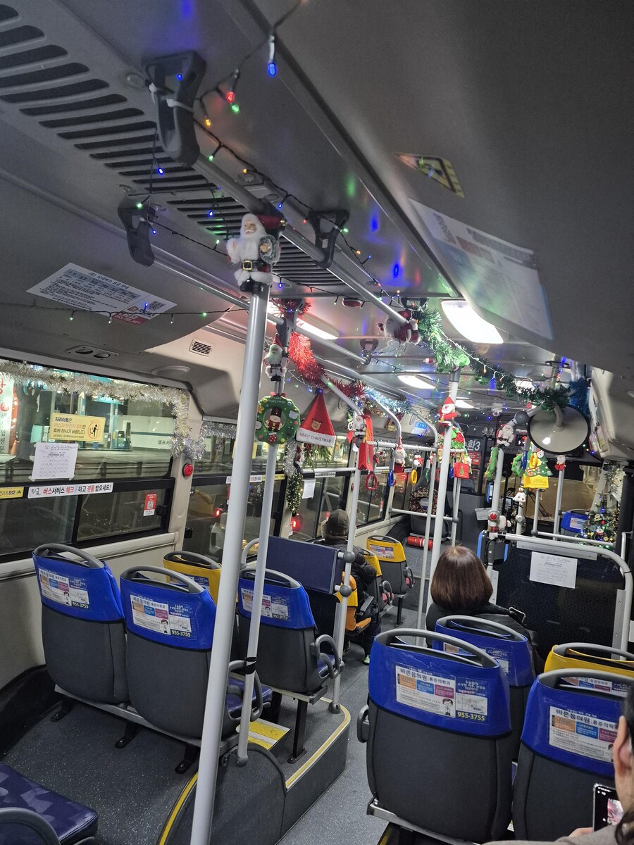 대구 시내버스 근황_1.jpg