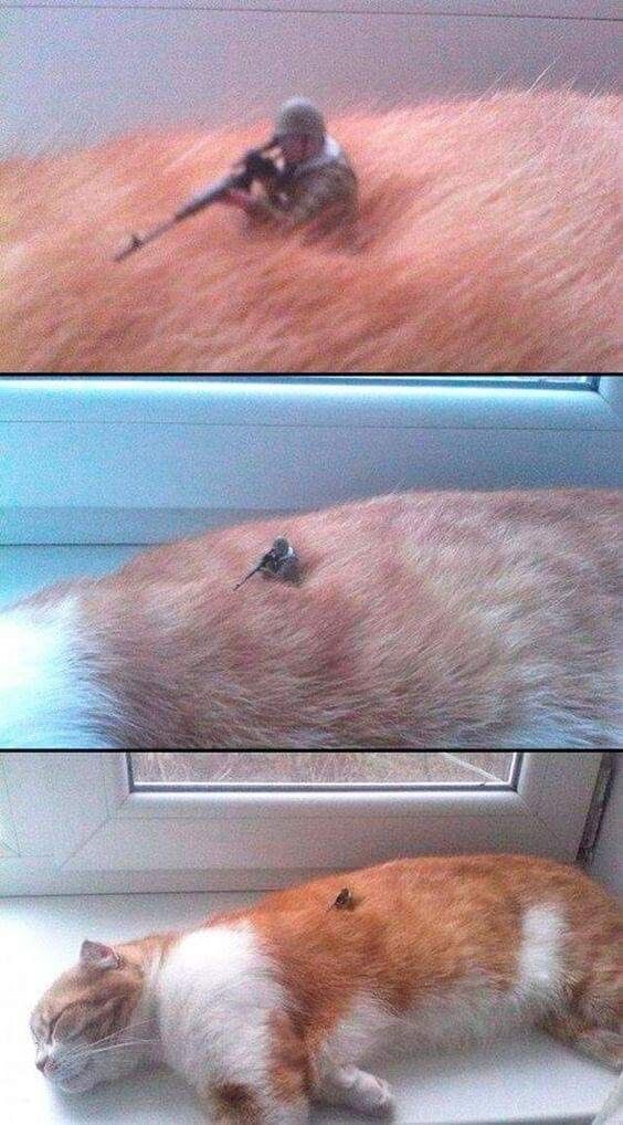 풀 속에서 작전 중인 군인을 찍은 사진_1.jpg