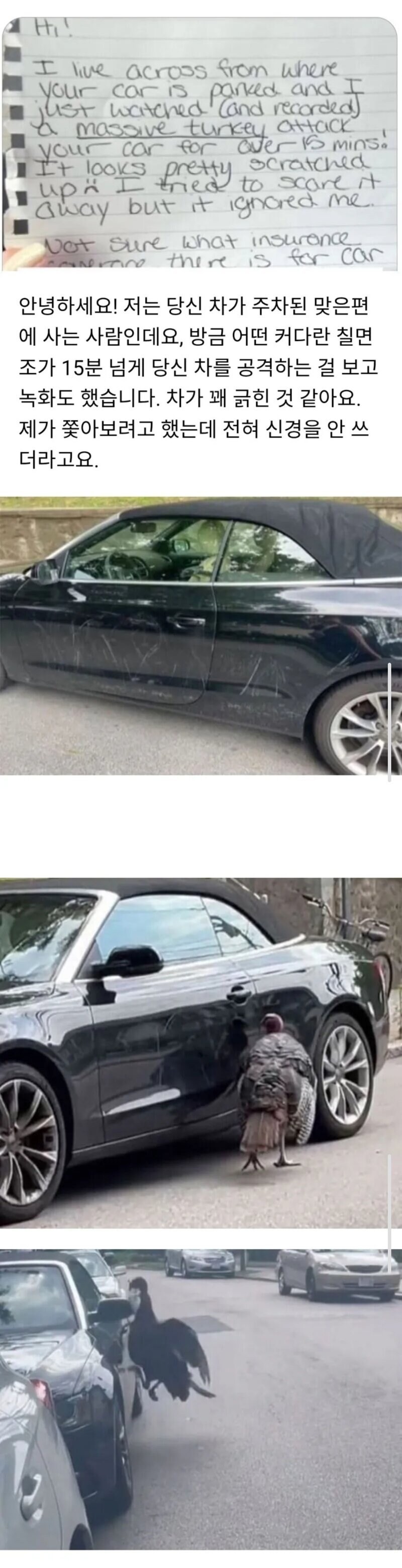 미친이야기 같지만 칠면조가 범인 입니다_1.jpg