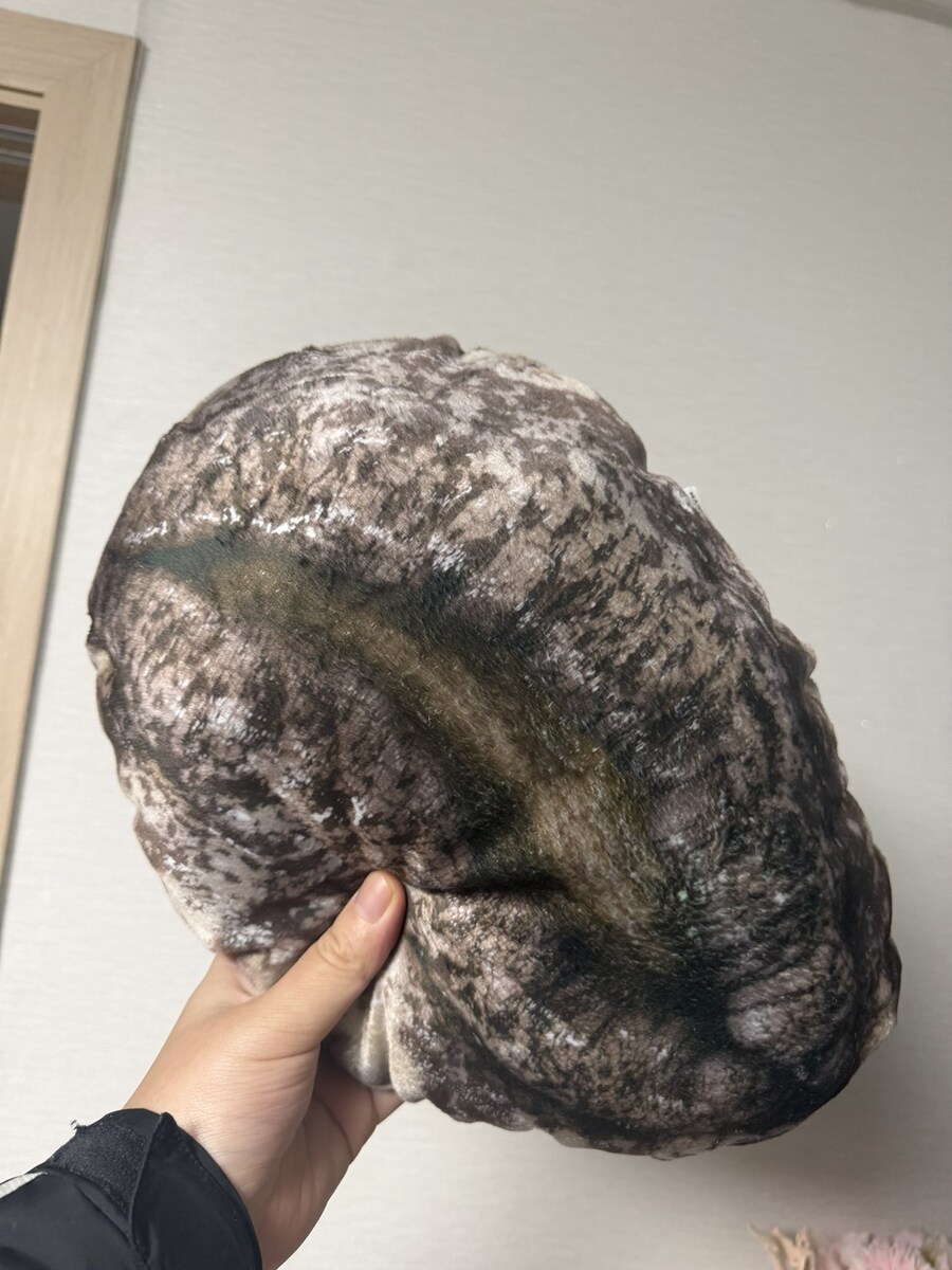 고향사랑기부제로 완도에게 전복받은 사람_2.jpg