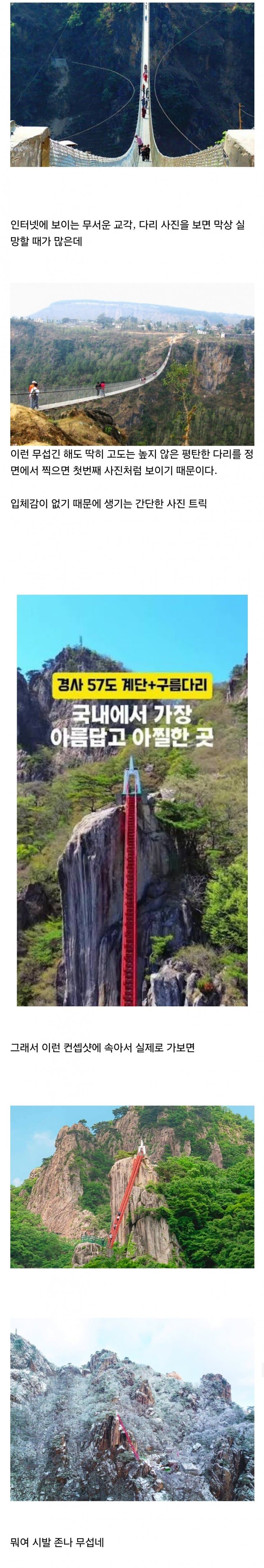 산에있는 다리사진 보고 겁먹지 않아도 되는 이유_1.jpg
