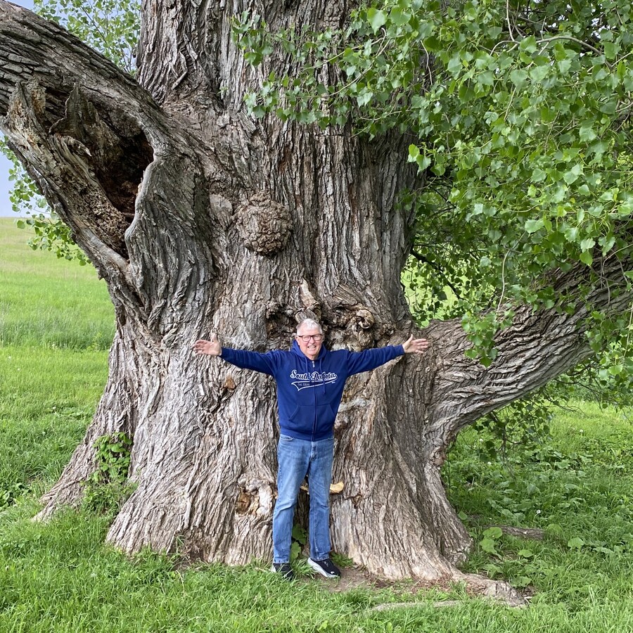 존나 빨리 자라는 대신 존나 무른 나무_2.jpg