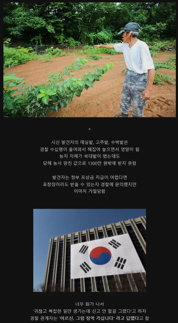 나라에서 내거는 현상금이 전혀 의미없는 이유._5.webp