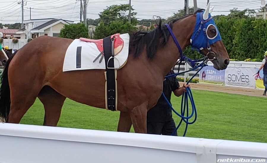 말딸?) 일본 경마계의 좀비마를 알아보자_1.png