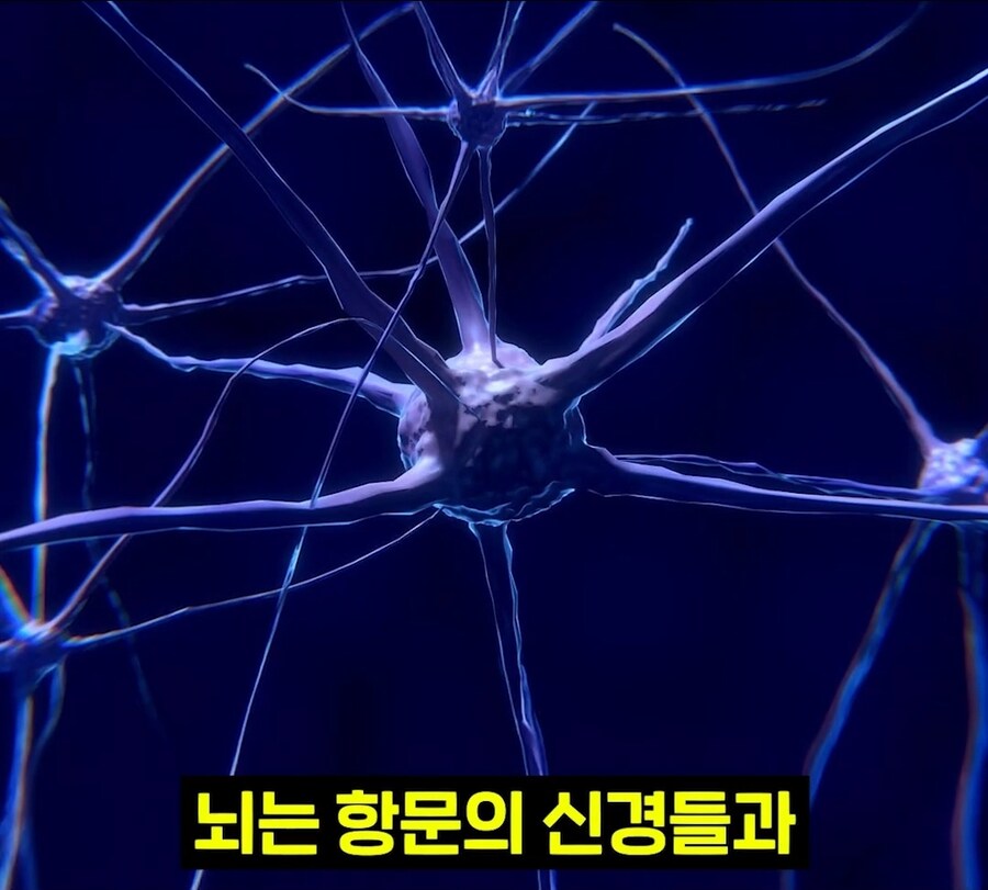 우리 뇌가 방구랑 된장을 구분하는 법_5.jpg