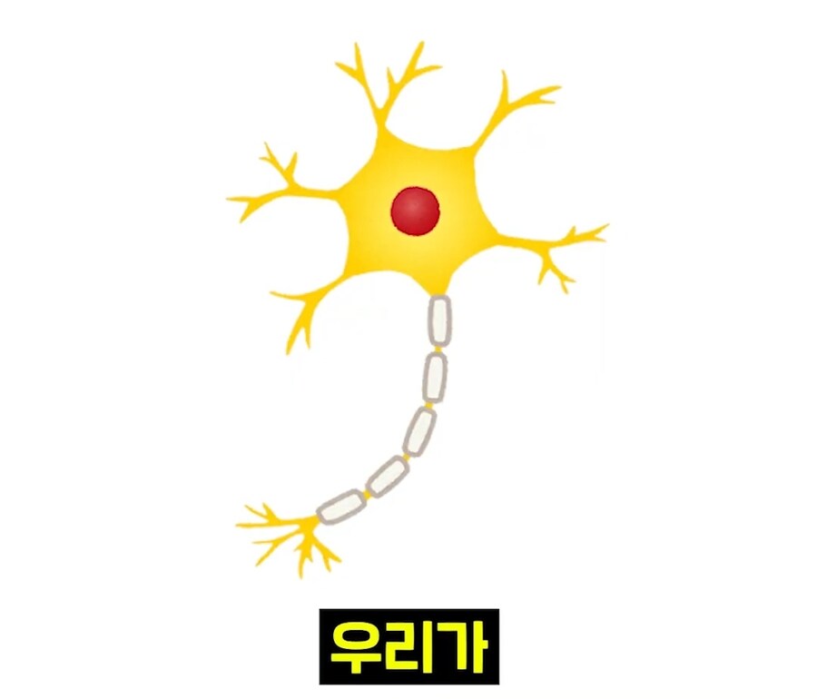 우리 뇌가 방구랑 된장을 구분하는 법_29.jpg