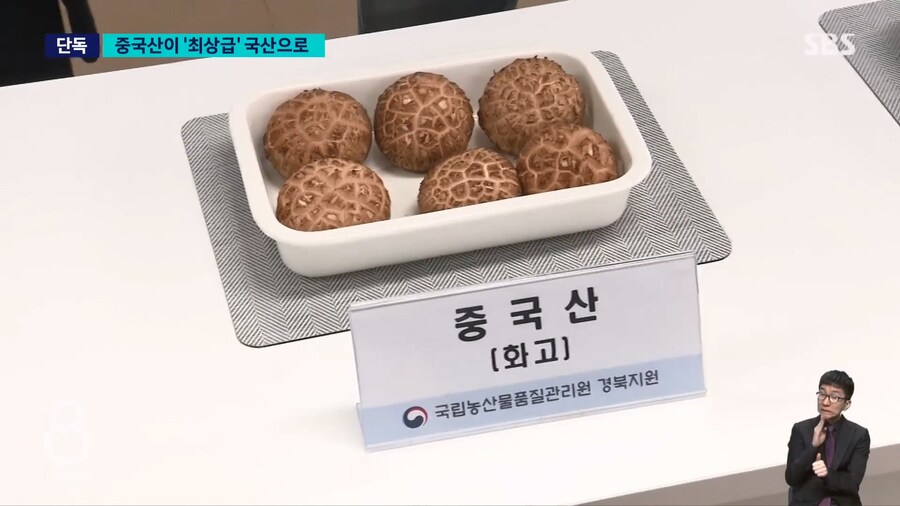 출하량의 70% 를 최고급으로 채우던 버섯농장의 비밀_5.jpg