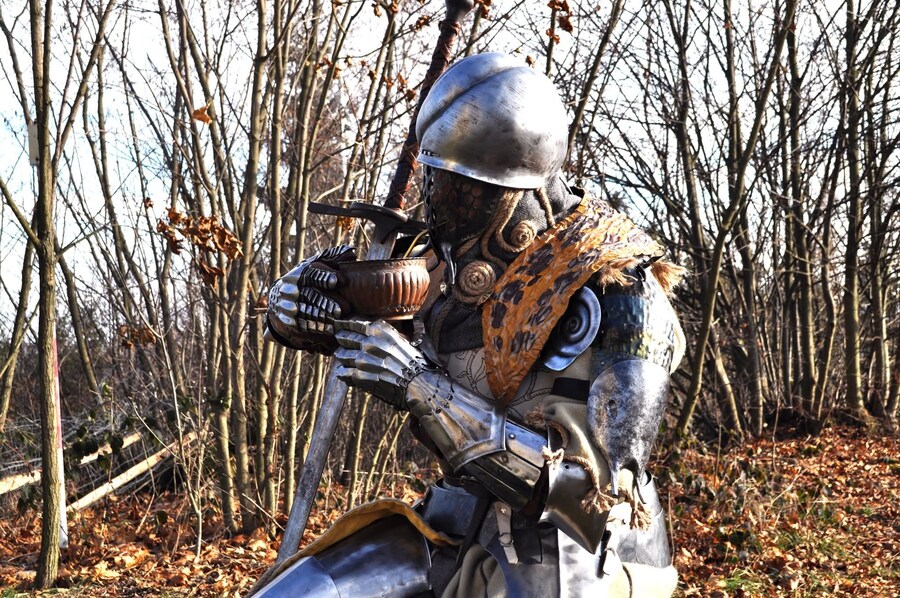 독특한 비주얼의 서양 갑옷 세트_10.jpg