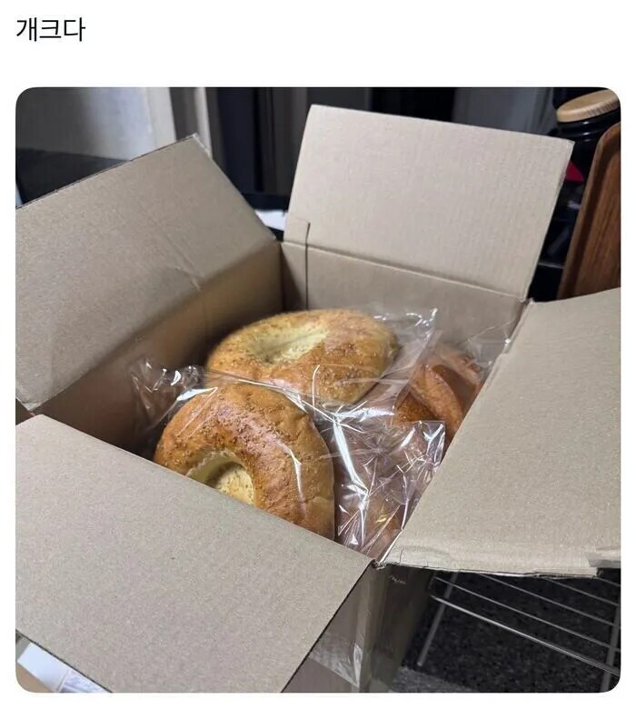한국에 사는 서양인들이 식사용 빵이 없다고 투덜대는 이유_8.jpg