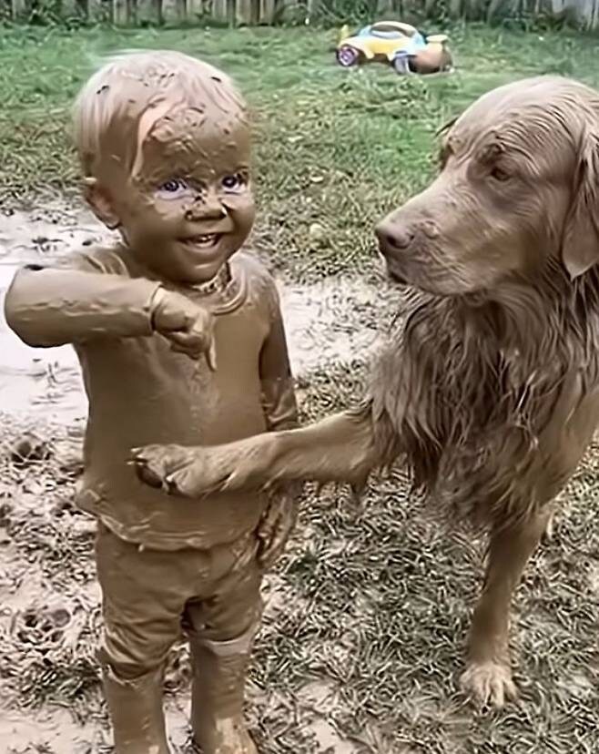 아이와 개만 놔두면 생기는 일_3.jpg