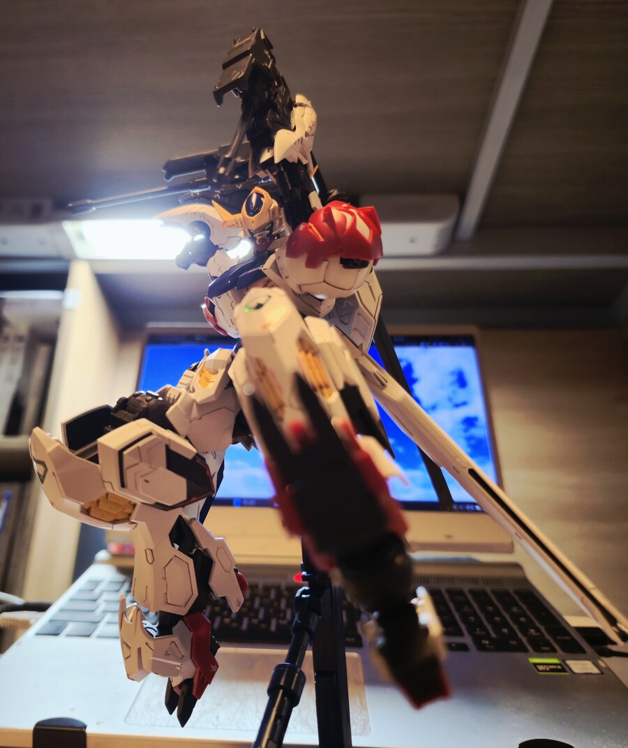 뒤늦게 올려보는 MG 발바토스 루프스_3.jpg