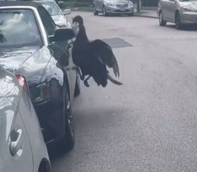 옆집 사람이 쪽지를 남겼다_5.png