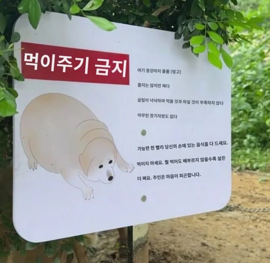 먹이 주기 금지.jpg_1.png