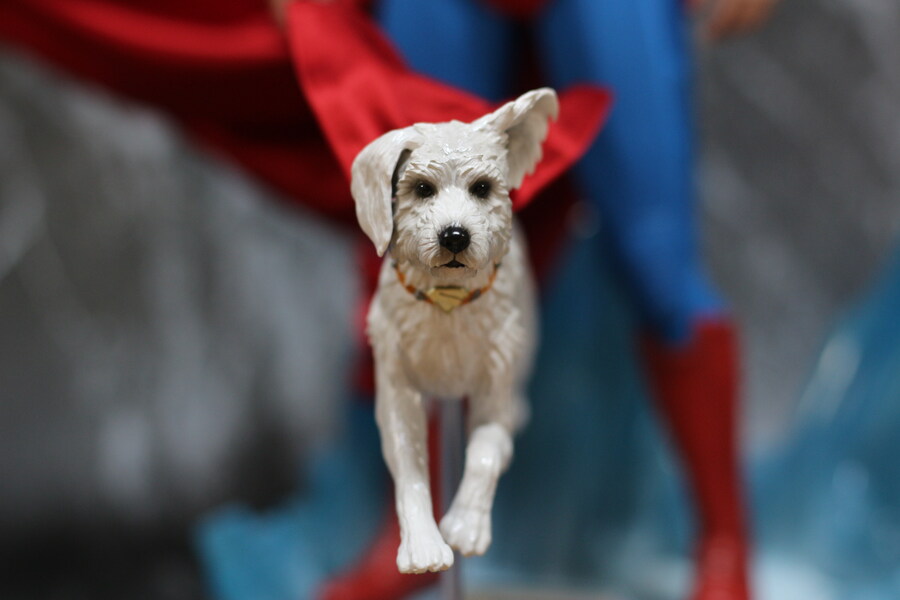 [핫토이] 슈퍼맨 & 크립토_6.jpg