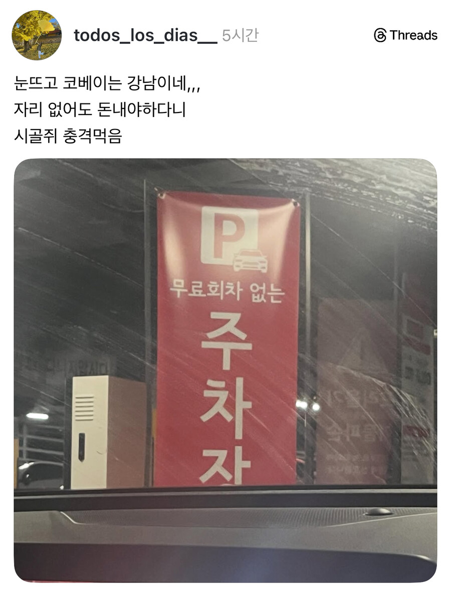 시골쥐는 충격먹는 서울주차장.jpg_1.jpg