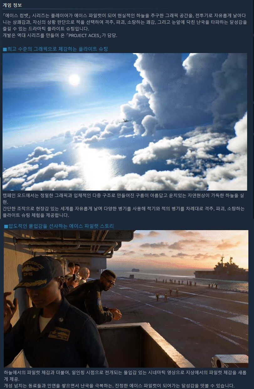 에이스 컴뱃 8 시브의 날개 스팀 상점 등록