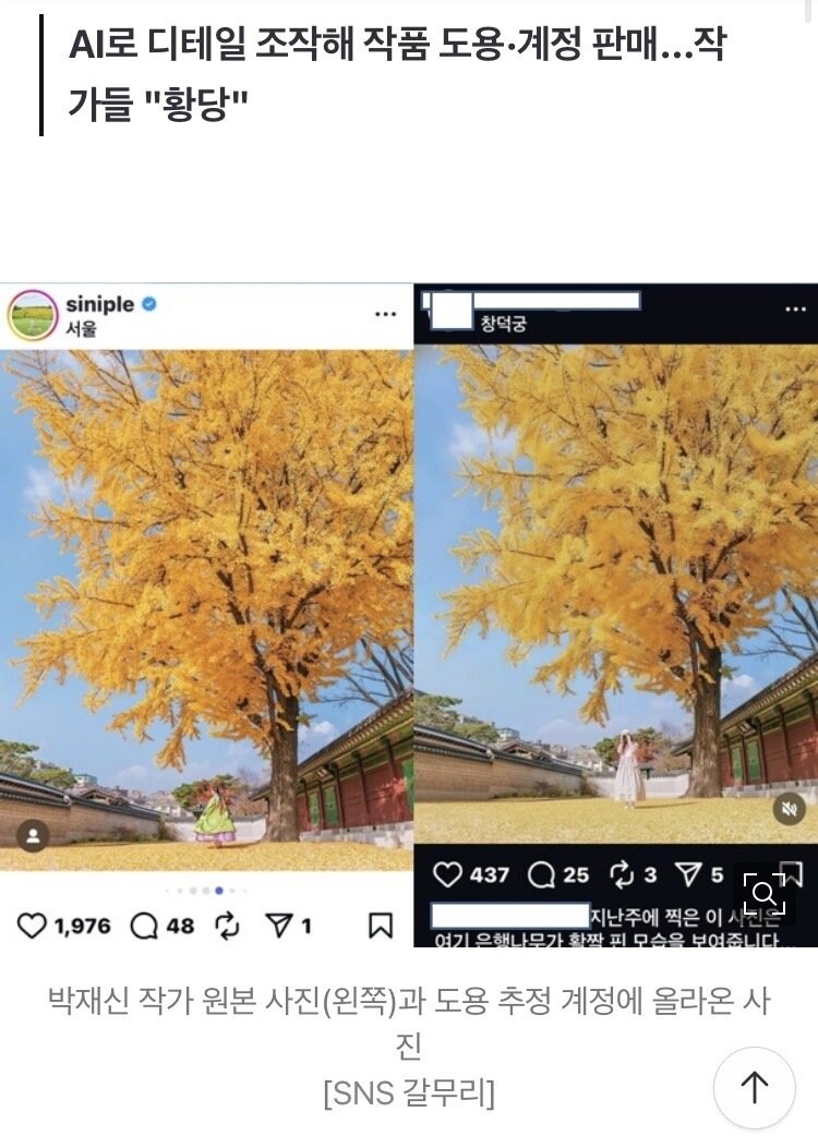 요즘 사진 도용 근황.jpg_1.png