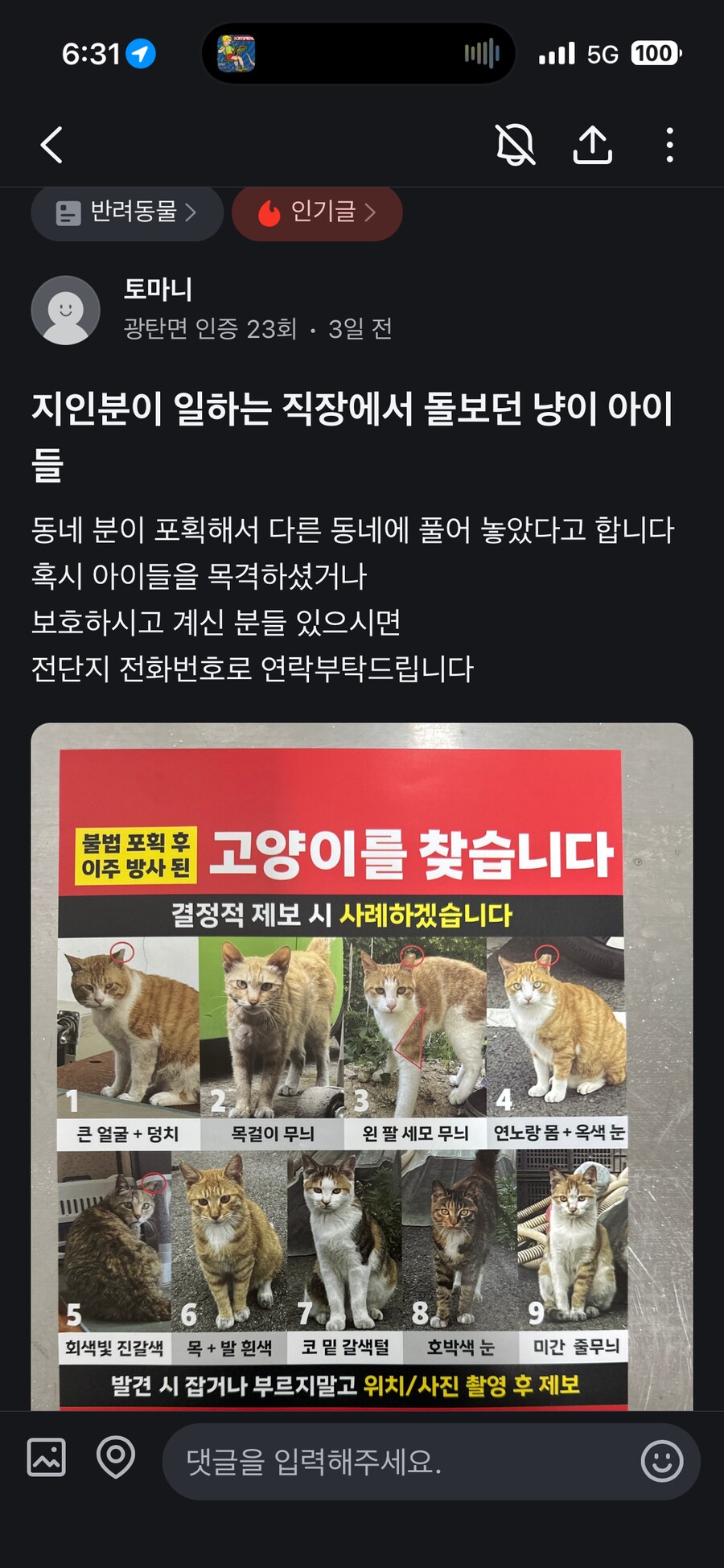 캣맘들이 대놓고 활개치는 곳_1.png