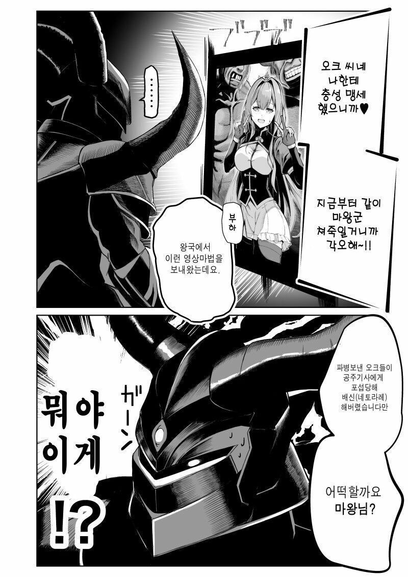 공주기사 네토라레 하는 영상_2.jpg