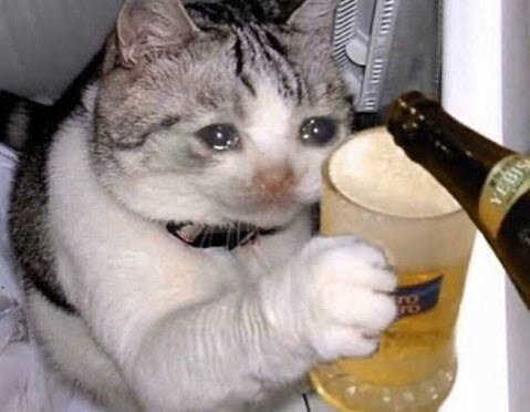 수면 전문가가 알려주는 꿀잠 자는 5가지 방법.jpg_2.jpg