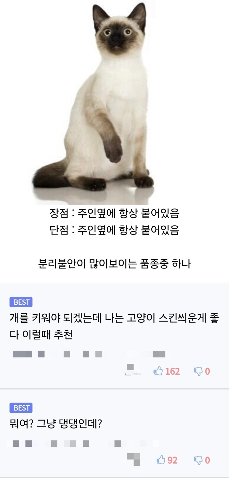 개를 키워야겠는데 고양이 같은 스킨이 필요하다.jpg_1.jpg