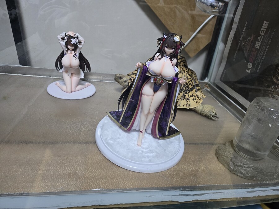 리뷰 벽람항로 카시노 피규어 2개 오늘 도착했어요_4.jpg