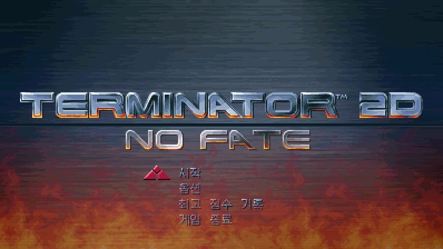 터미네이터 2D 노 페이트_3.jpg