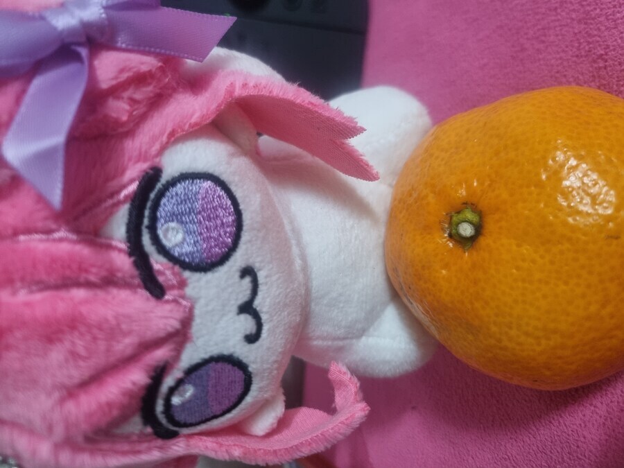 Doro)털로롱이 있으니까 집에올때마다 행복하네.._6.jpg