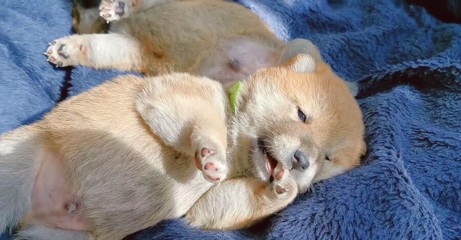 너희들은 지금 불판 때문에 시간을 낭비하고 있는거다_7.jpg