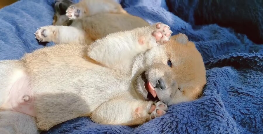 너희들은 지금 불판 때문에 시간을 낭비하고 있는거다_8.jpg