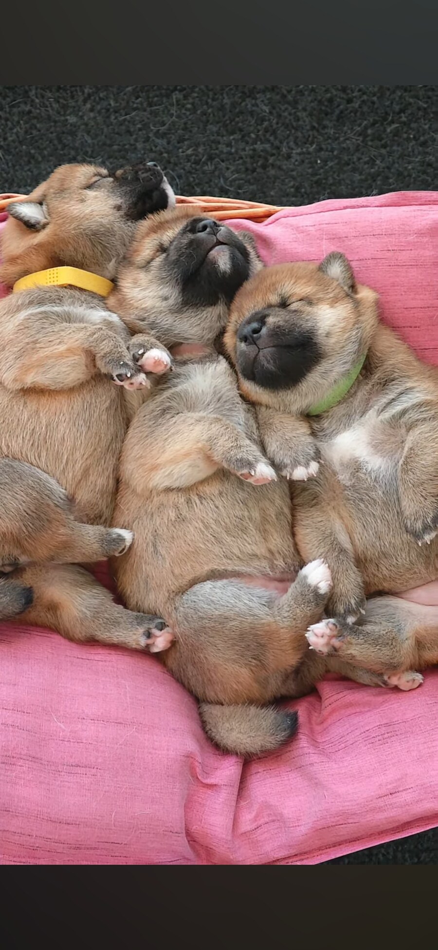 너희들은 지금 불판 때문에 시간을 낭비하고 있는거다_12.jpg