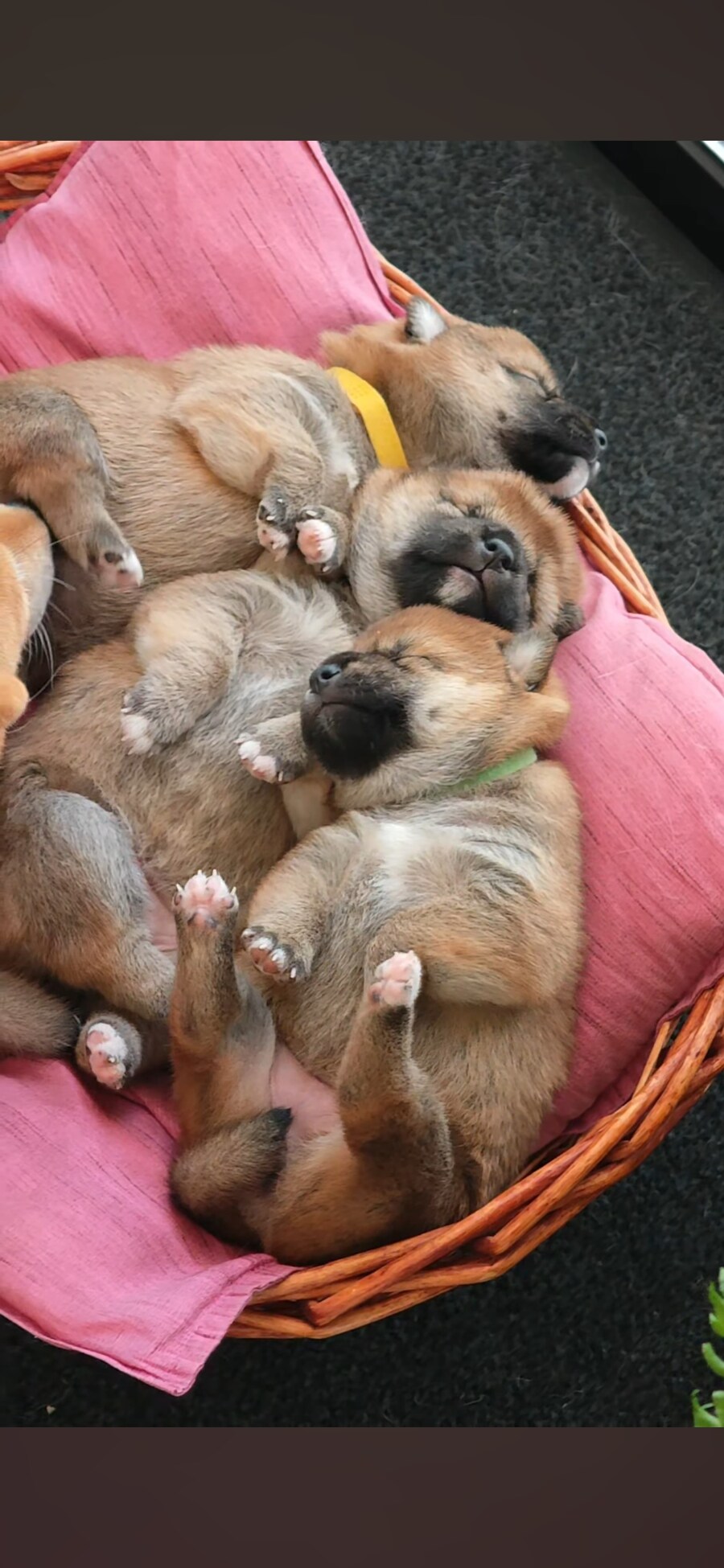 너희들은 지금 불판 때문에 시간을 낭비하고 있는거다_13.jpg