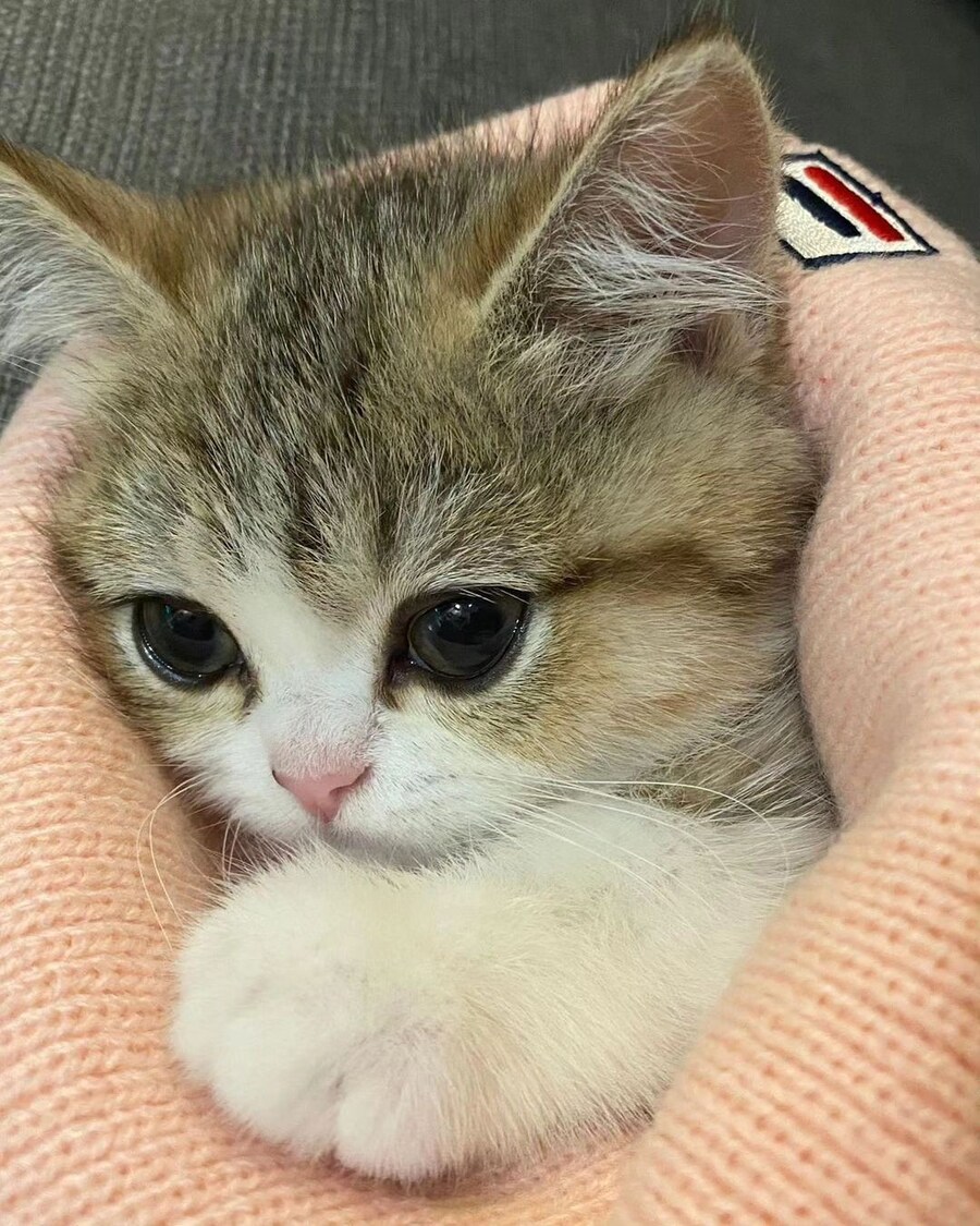 진짜 유게 픽_1.jpg