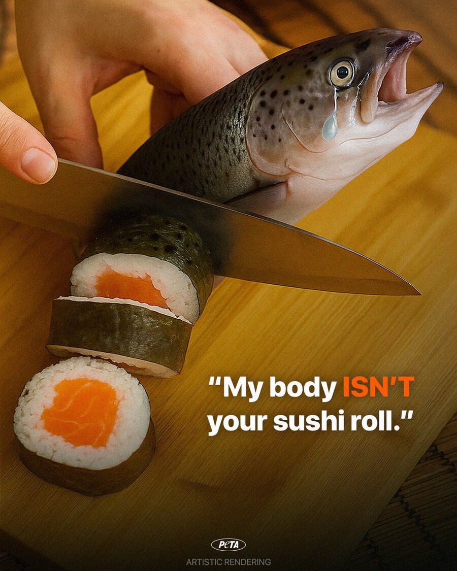 말딸 혐짤로 욕처먹은 PETA 근황_1.jpg