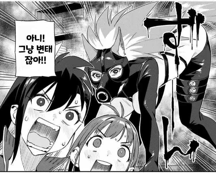 여자 속옷만 물어뜯고가는 인면견_4.webp