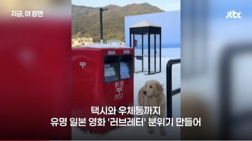 한일령 근황.JPG_4.jpg