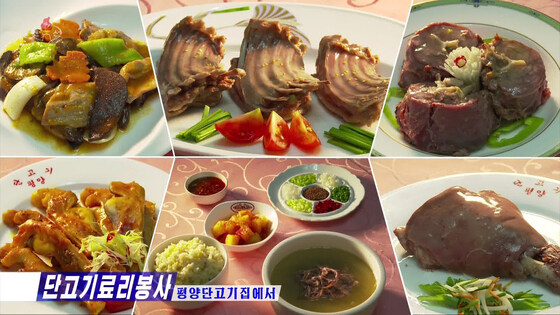 환단고기는 모르겠지만 단고기 좋아하는 나라_1.jpg