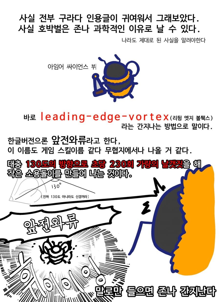 호박벌이 뚱뚱한 몸으로 날아다닐 수 있는 이유_2.jpg