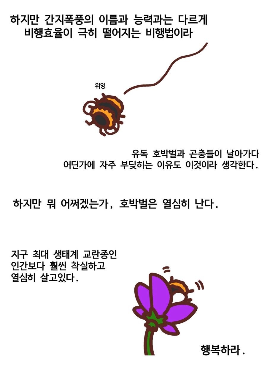 호박벌이 뚱뚱한 몸으로 날아다닐 수 있는 이유_3.jpg