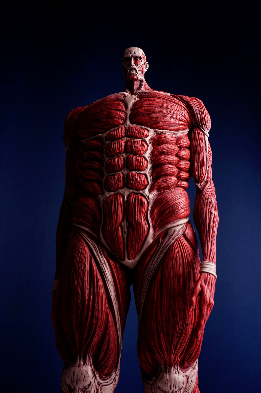 이치방쿠지 초대형거인_13.jpg