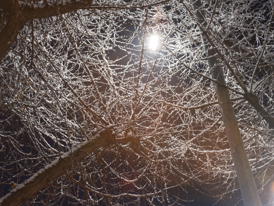 첫눈과 첫 대방어_6.jpg