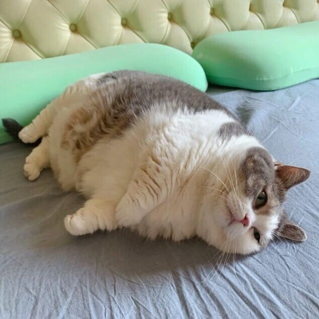 은근히 호불호 갈리는 몸매_1.jpg