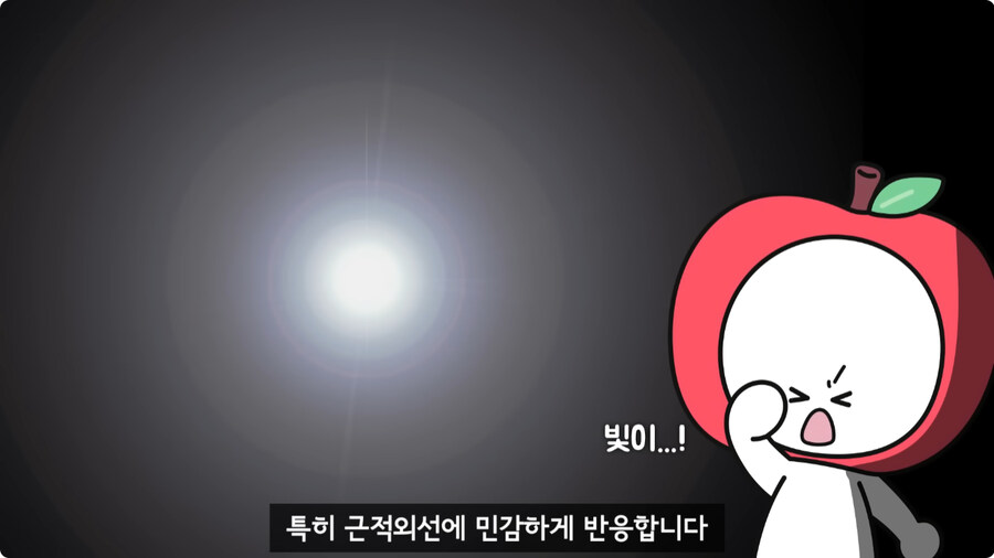 과일을 먹지 않고 당도를 측정하는 방법.jpg_8.jpg