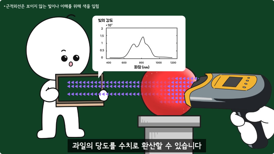 과일을 먹지 않고 당도를 측정하는 방법.jpg_29.jpg