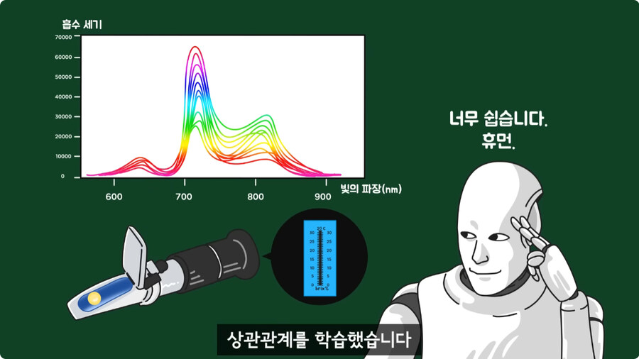 과일을 먹지 않고 당도를 측정하는 방법.jpg_35.jpg
