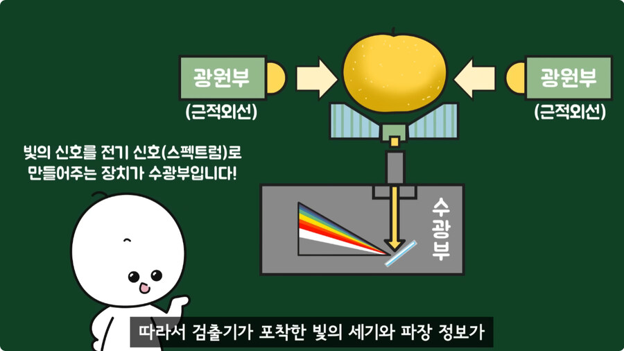 과일을 먹지 않고 당도를 측정하는 방법.jpg_36.jpg