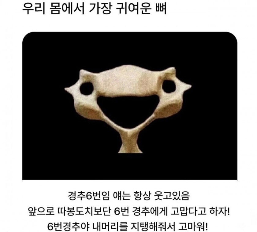 각자 집에서 확인해보자 우리 몸에서 제일 귀여운거..._1.jpg